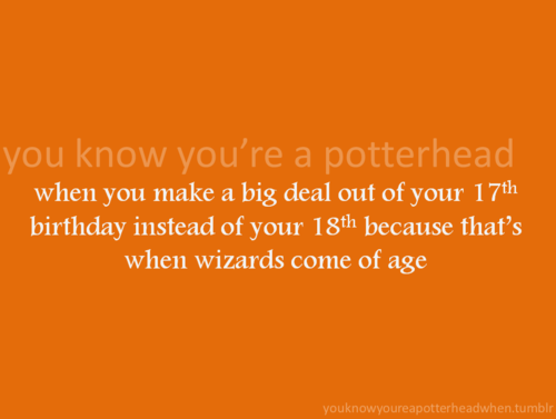  anda Know You're a Potterhead When...