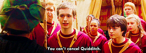  আপনি can't বাতিল Quidditch