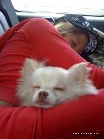  kelly kelly and her dog