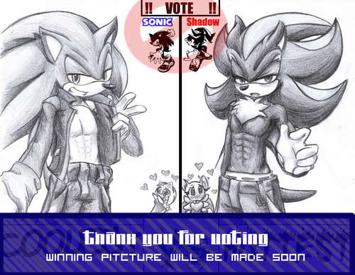  sexy sonic and shadow