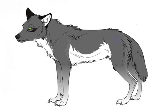 Katelover812 as a wolf