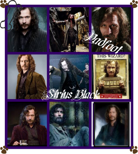 Sirius Black Collage