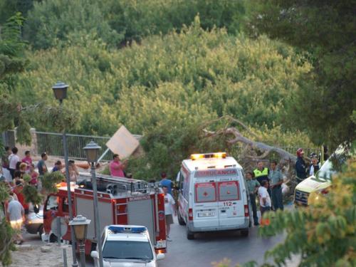  The fall of a large branch caused three injuries in Cieza- Spain --