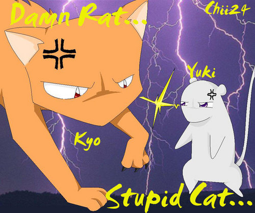  kyo vs yuki