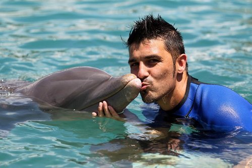David Villa with a dolphin