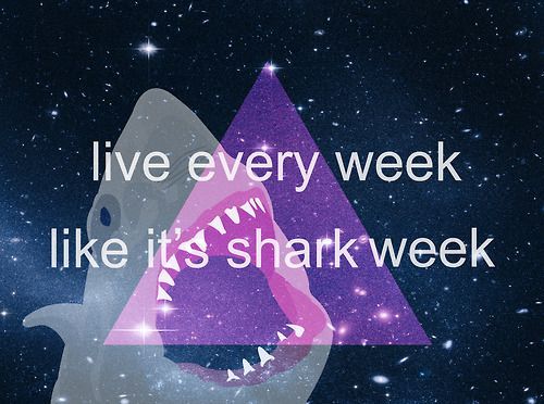  HAPPY акула WEEK!