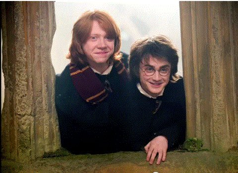  harry and ron