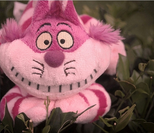 Adorable Cheshire Cat plushie