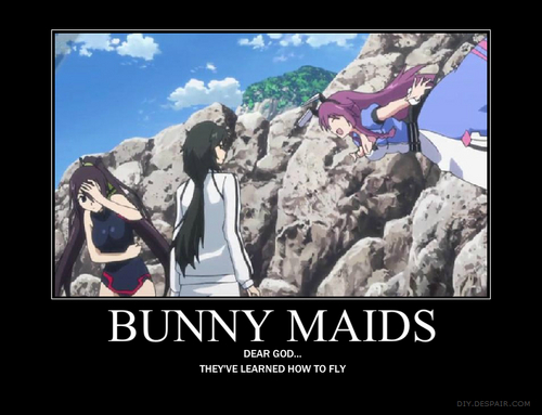  Bunny Maids