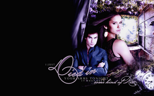  Damon & Elena hình nền