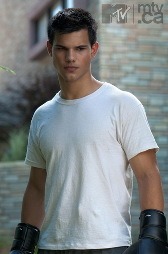  New 'Abduction' 사진 of Taylor Lautner with Boxing Gloves