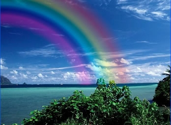  Scenic Rainbows