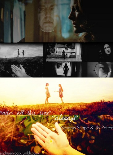  Snape&Lily