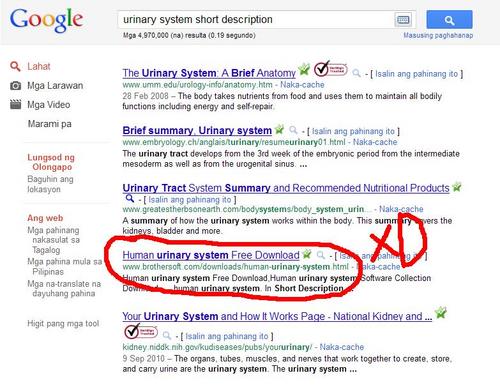  Urinary Sys. . . WHAT?!