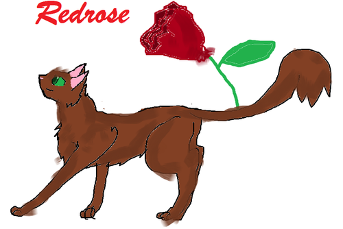  redrose