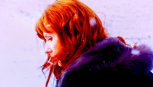 -Donna Noble-