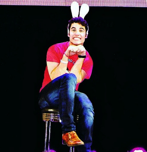 Darren bunny!