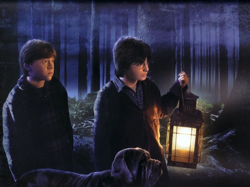  Harry, Ron and Hermione 壁纸