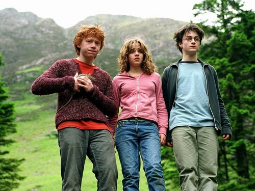  Harry, Ron and Hermione wallpaper
