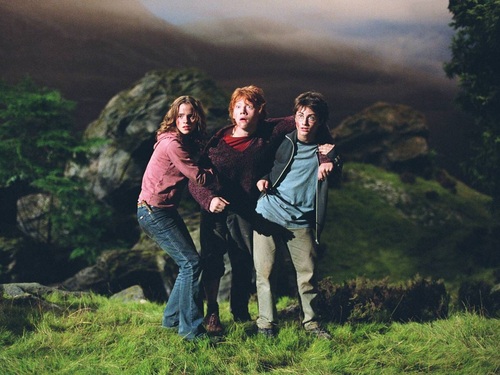  Harry, Ron and Hermione वॉलपेपर