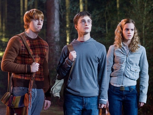  Harry, Ron and Hermione fondo de pantalla