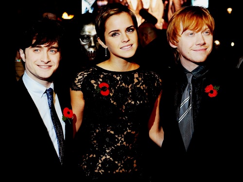 Harry, Ron and Hermione Wallpaper 