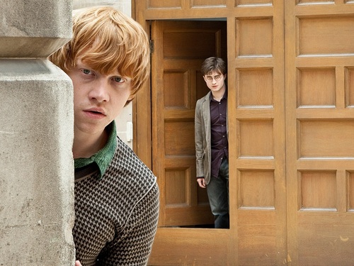  Harry, Ron and Hermione দেওয়ালপত্র