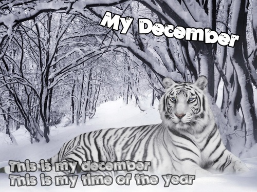  My December