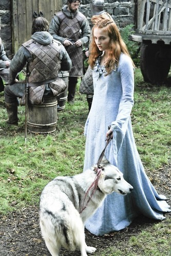 Sansa Stark with Lady