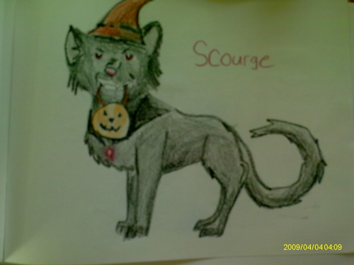  Scourge is trick-or-treating