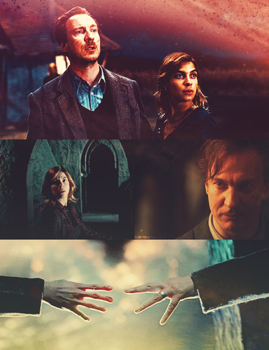  tonks and Remus