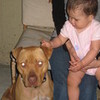 baby cousin and dog nala 14pony photo