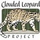 cloudedleopard's photo