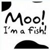 17 mooimafish17 photo