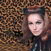 julie newmar catwoman nimone photo