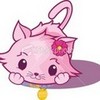 A cute picture of a pink cat. Renarimae photo