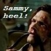 Sammy, Heel!  NoLoser-cret photo