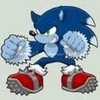  Sonic-WEREHOG photo