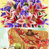www.giftflowersusa.com giftflowersusa photo