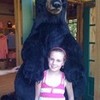Bear ahhhhhhh!!!!!!!!! lomccoy photo
