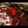 Violin coverd in roses miss_ele photo