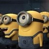 Minions from Despicable Me MeaghanDavis photo