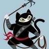  Ninja-Kitten photo