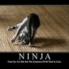  Ninja-Kitten photo