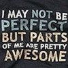 I May Not Be Perfect But Parts Of Me Is Awesome Justinsgirl345 photo
