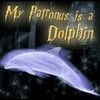 My patronus is a DOLPHIN!!!!!!!! HarryPotter_1 photo