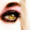 Yellow eye KezzMorris photo