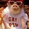 GAY PIG!!!!!! Scaremokid01 photo