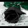 black rose 4 u.. TeamSongz4eva photo