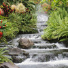 my fav waterfall greengreengreen photo